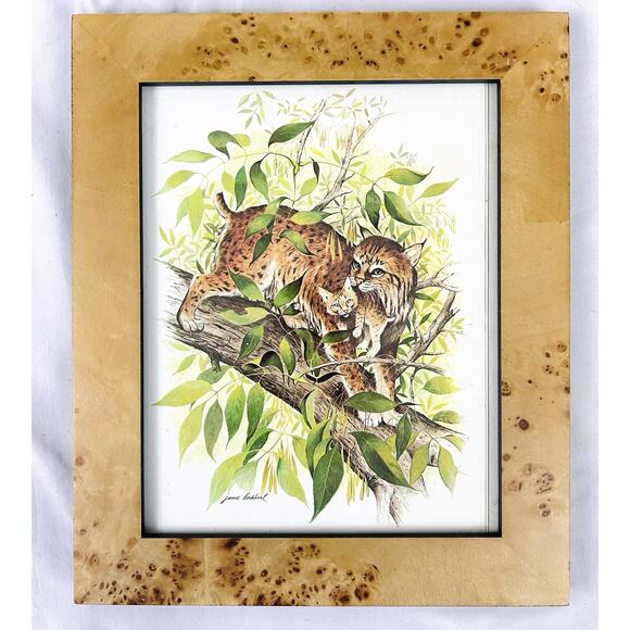 Vtg Wildlife Animal Bobcat Print by James Lockhart in Faux Burl Wood Frame - Picture 1 of 4